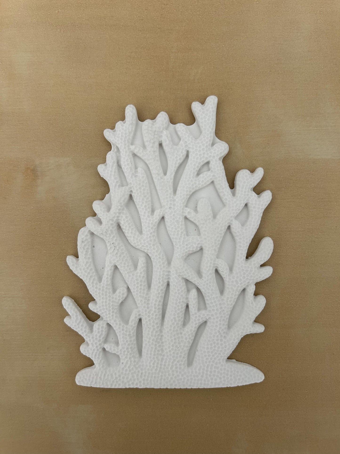 Coral marino