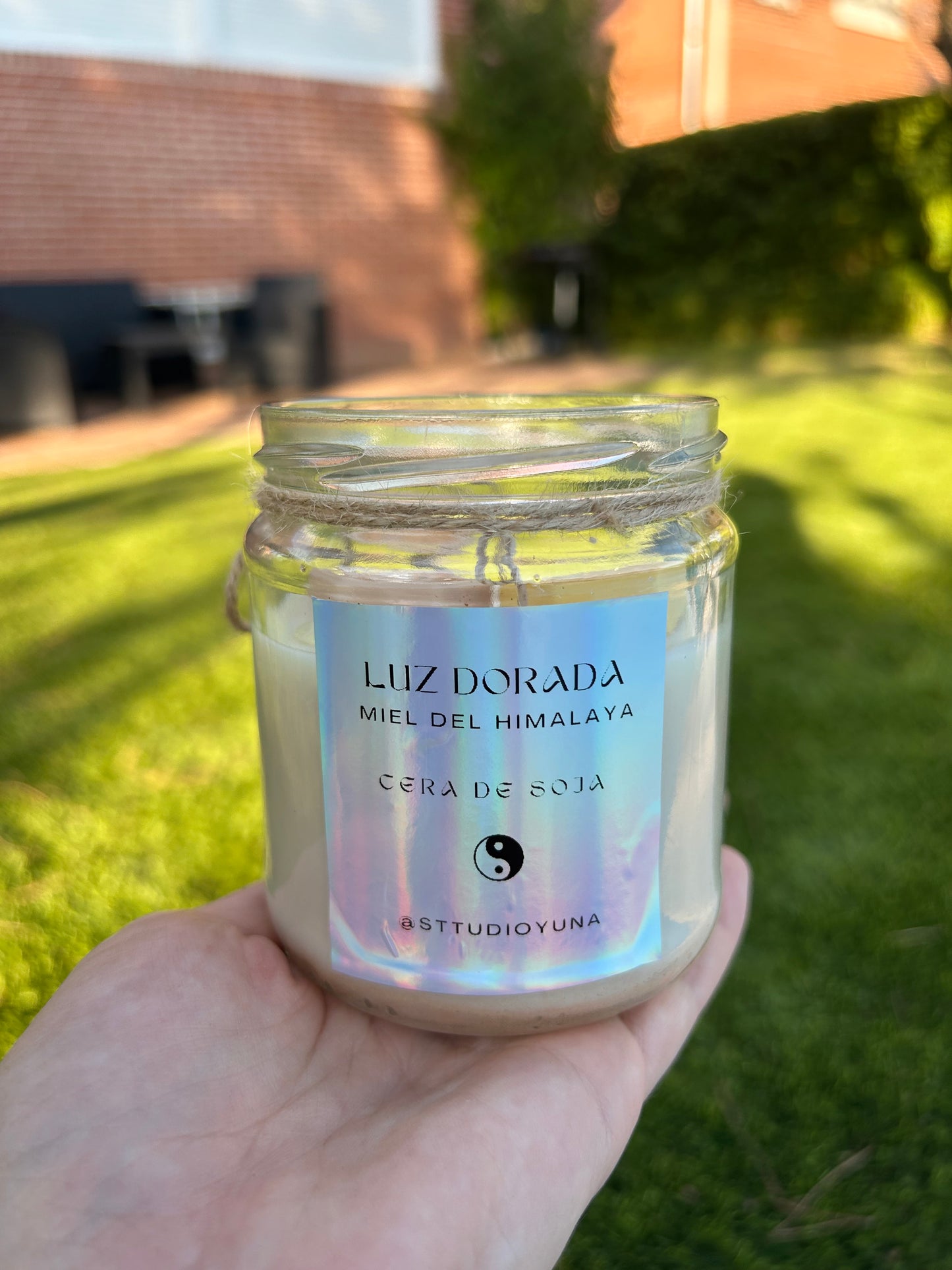 Luz dorada 🍯🐝