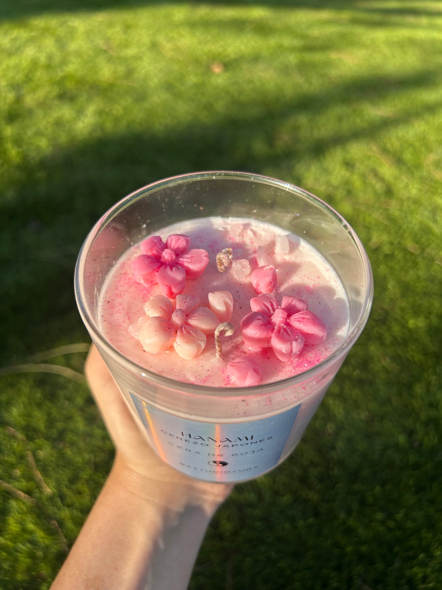 Hanami 🌸🩷✨