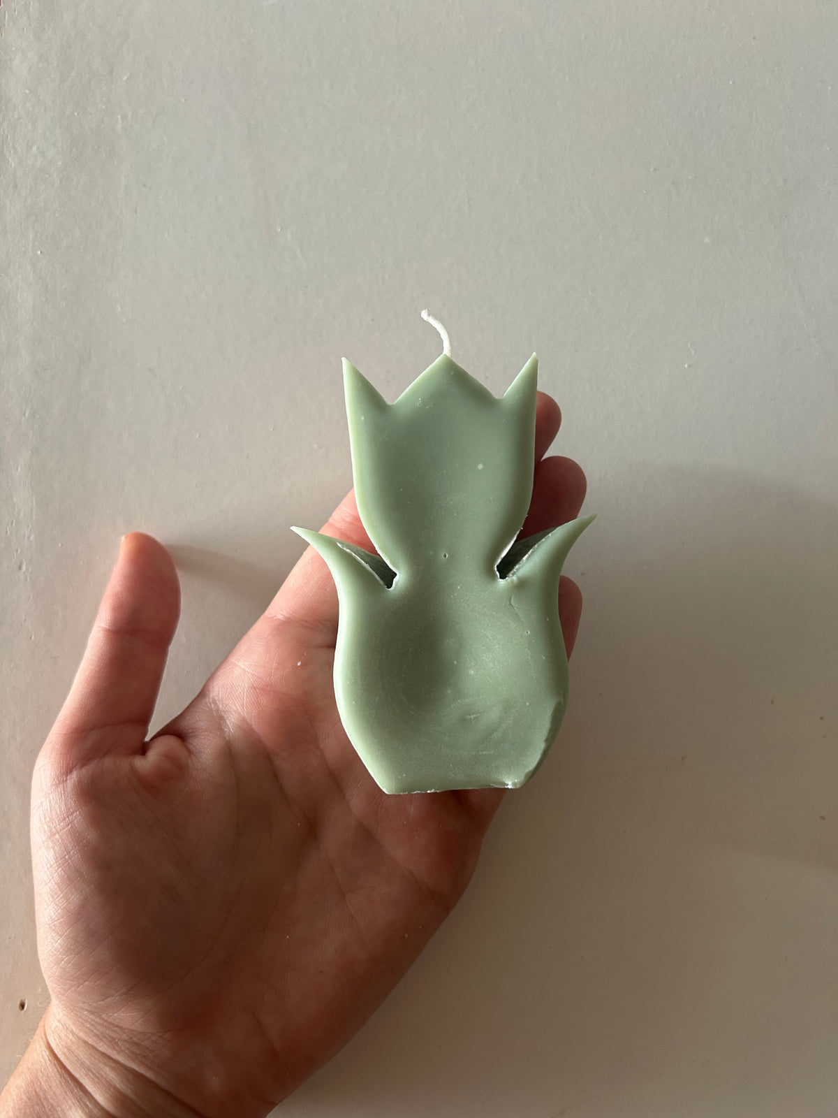 Tulipán