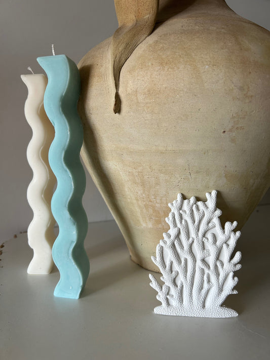 Coral marino