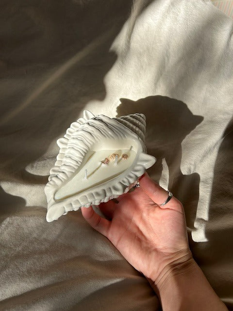Venus